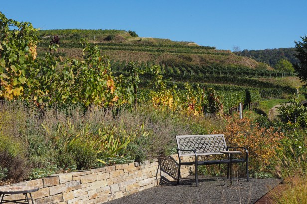 Get To Know Kaiserstuhl Wine Region, Germany’s Burgundy Hotspot