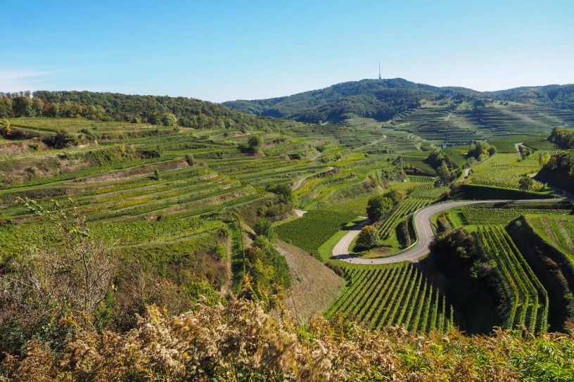 Get To Know Kaiserstuhl Wine Region, Germany’s Burgundy Hotspot