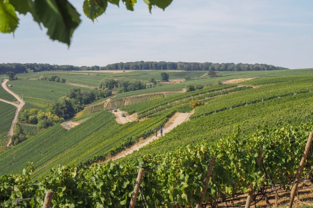 The 5 European Countries You Should Visit This Year