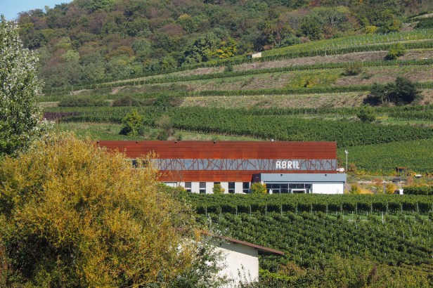 Get To Know Kaiserstuhl Wine Region, Germany’s Burgundy Hotspot