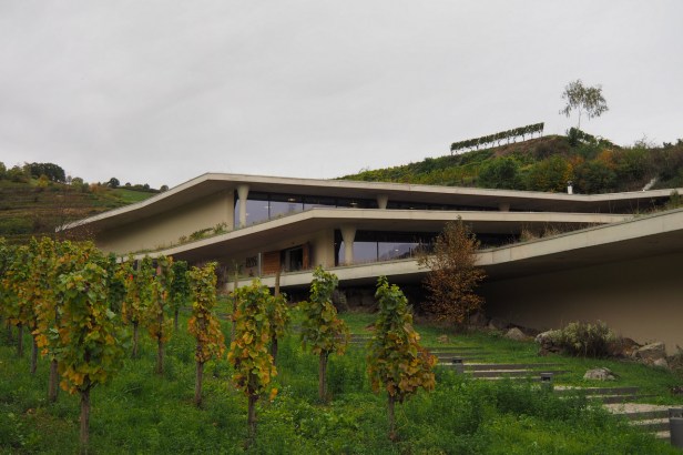 Get To Know Kaiserstuhl Wine Region, Germany’s Burgundy Hotspot