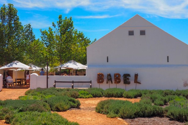 5 Awesome Farm-To-Table Restaurants With Rooms In The Cape Winelands