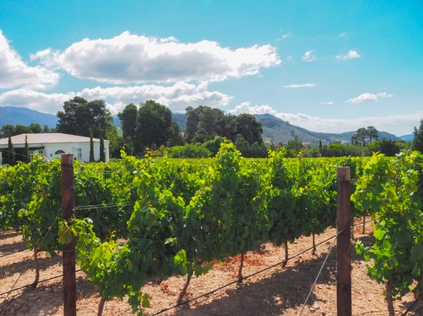 5 Awesome Farm-To-Table Restaurants With Rooms In The Cape Winelands