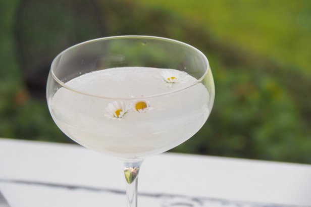 Mezcal Daisy Cocktail: Celebrating Cinco de Mayo with a twist