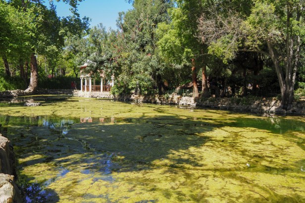 Sevilla Travel Guide