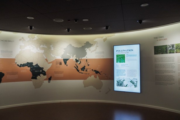 A visit to World of Wine in Porto