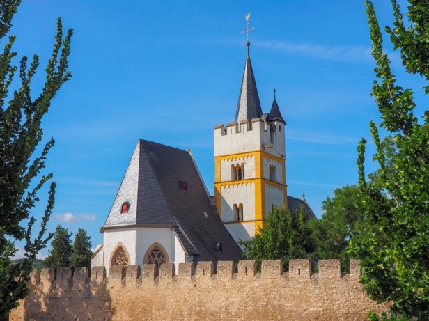 Here are the best Wine Festivals to visit in Germany