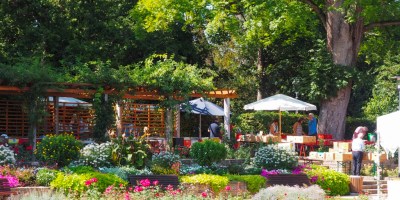 Here are the best Wine Festivals to visit in Germany