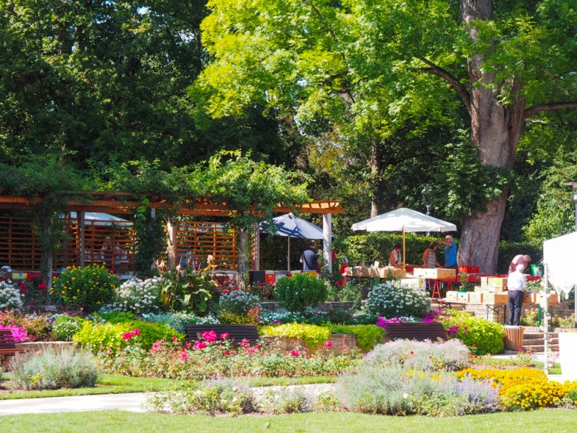 Here are the best Wine Festivals to visit in Germany