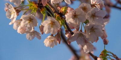 Discover some of the most exciting European destinations to visit in spring