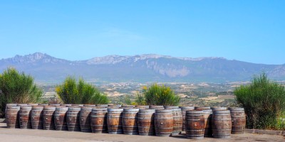 11 exciting reasons to be a wine tourist