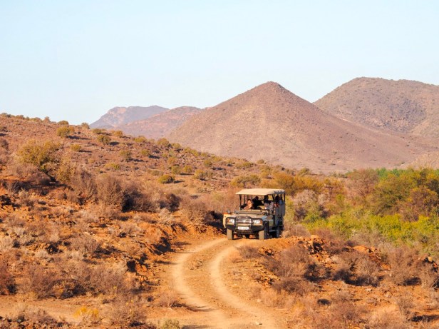 What to pack for a wildlife safari