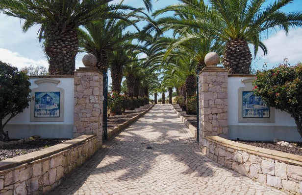 Get to know the largely undiscovered Algarve Wine Region