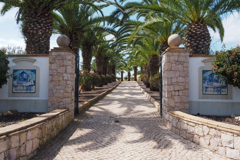 Get to know the largely undiscovered Algarve Wine Region