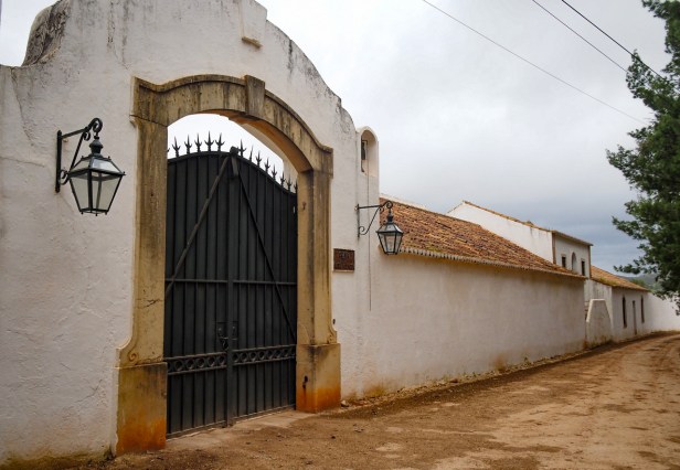 Get to know the largely undiscovered Algarve Wine Region