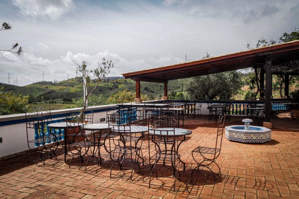 Get to know the largely undiscovered Algarve Wine Region