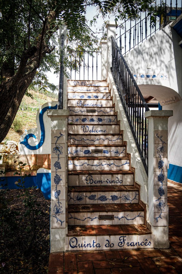 Get to know the largely undiscovered Algarve Wine Region