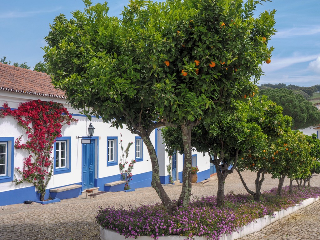 The 10 lesser-known European wine regions to put on your wine travel bucket list