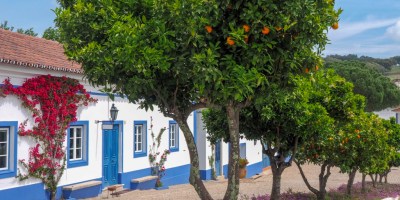 European Under-The-Radar Wine Regions To Visit Next