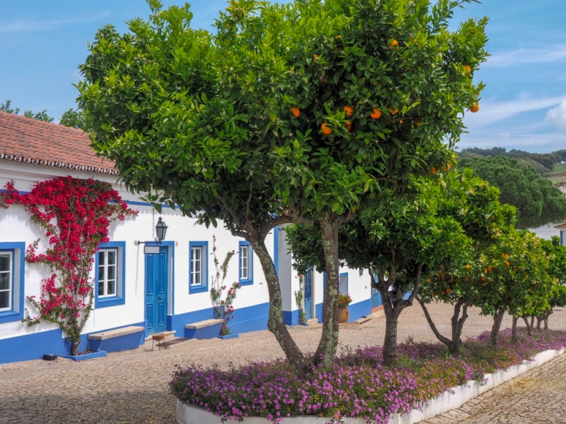 European Under-The-Radar Wine Regions To Visit Next