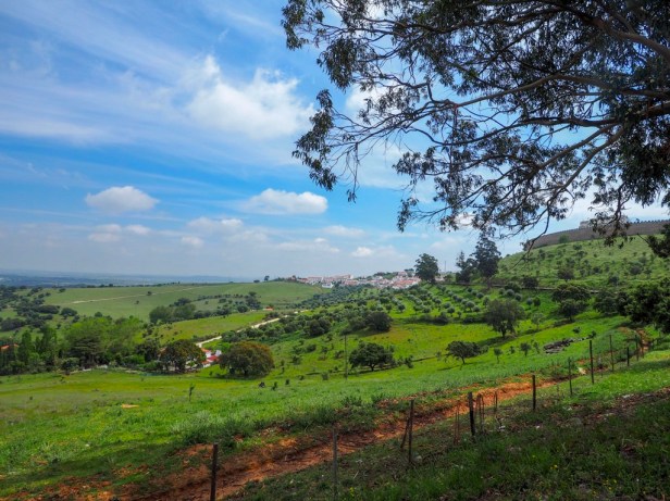 European Under-The-Radar Wine Regions To Visit Next