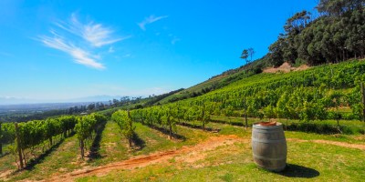 All You Need To Know About South Africa’s Cap Classique Sparkling Wine