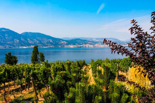 The Best Foodie Destinations For Each Month In 2025