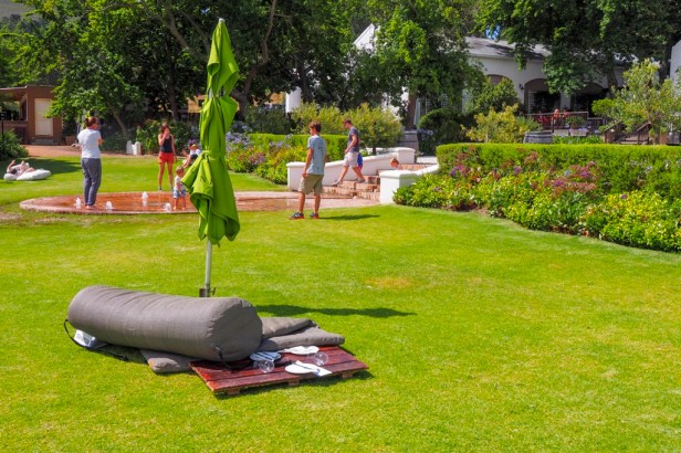 Great Wines and A Leisurely Picnic at Warwick Wine Estate