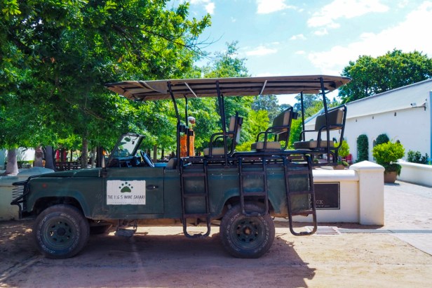 Great Wines and A Leisurely Picnic at Warwick Wine Estate